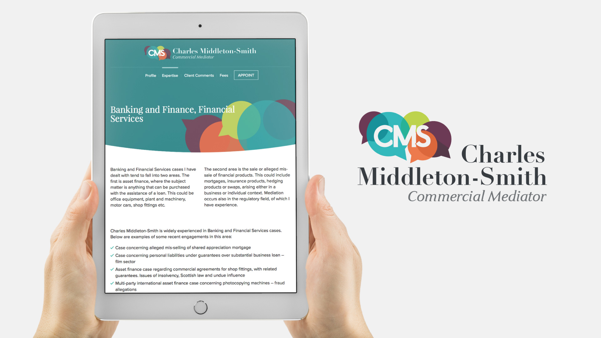 Commercial mediator logo and website design