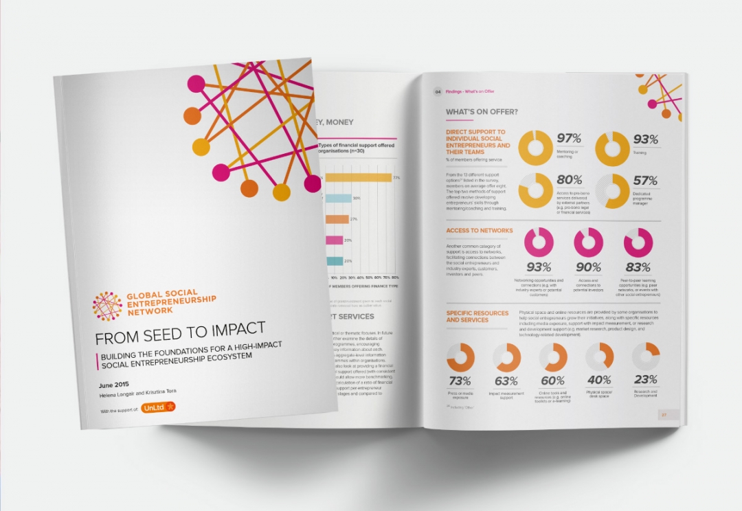 Social entrepreneurship network report design
