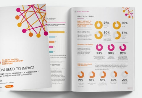 Global Social Entrepreneurship Network