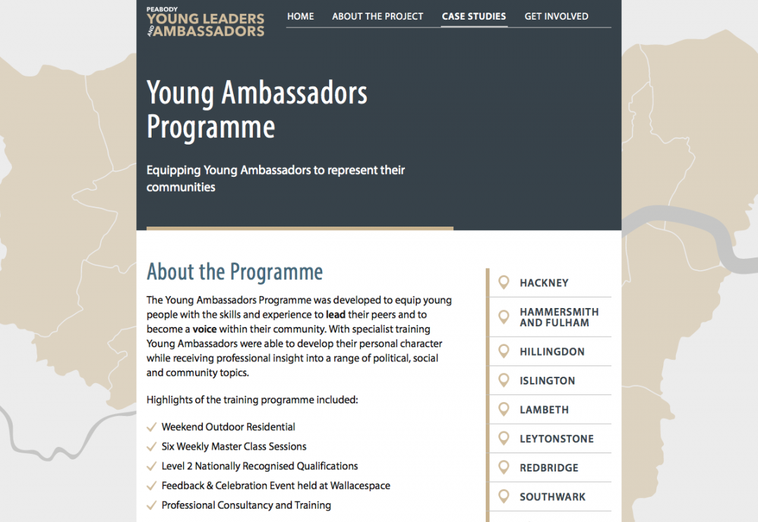 Youth engagement website design