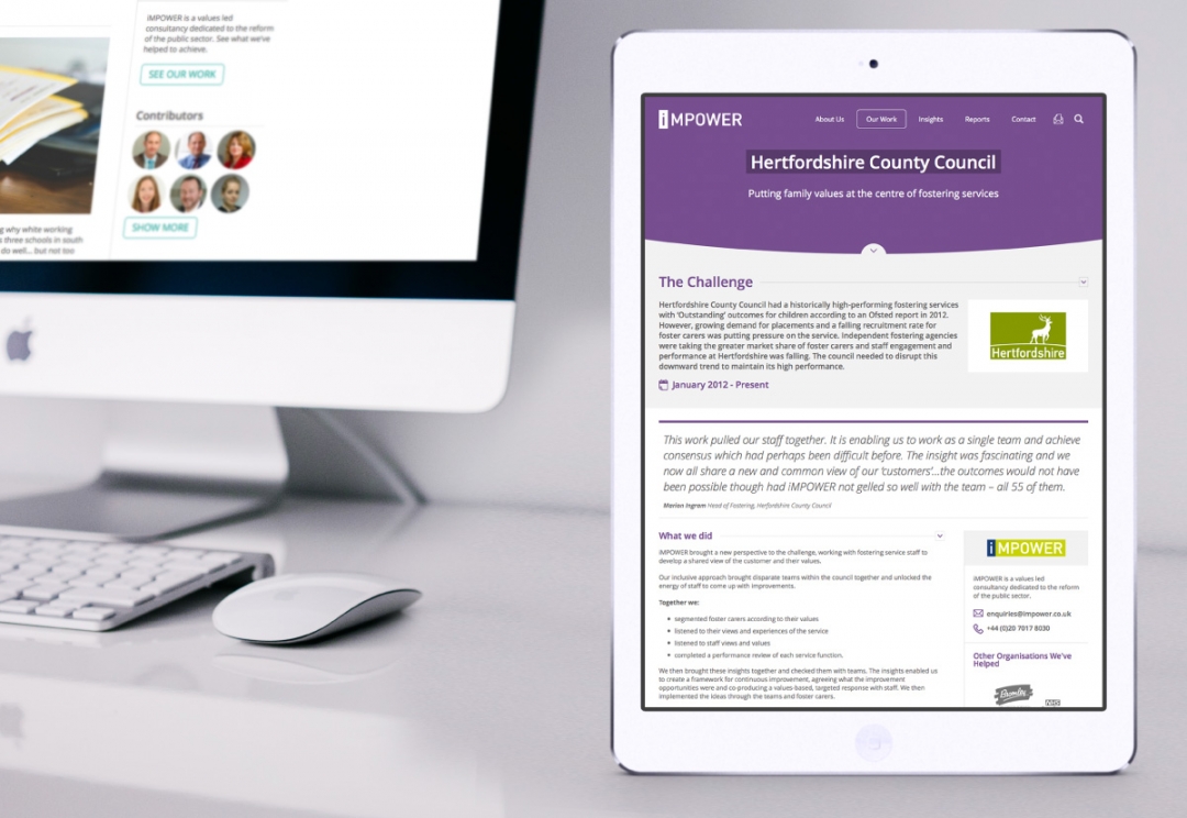 Public sector consultancy website design